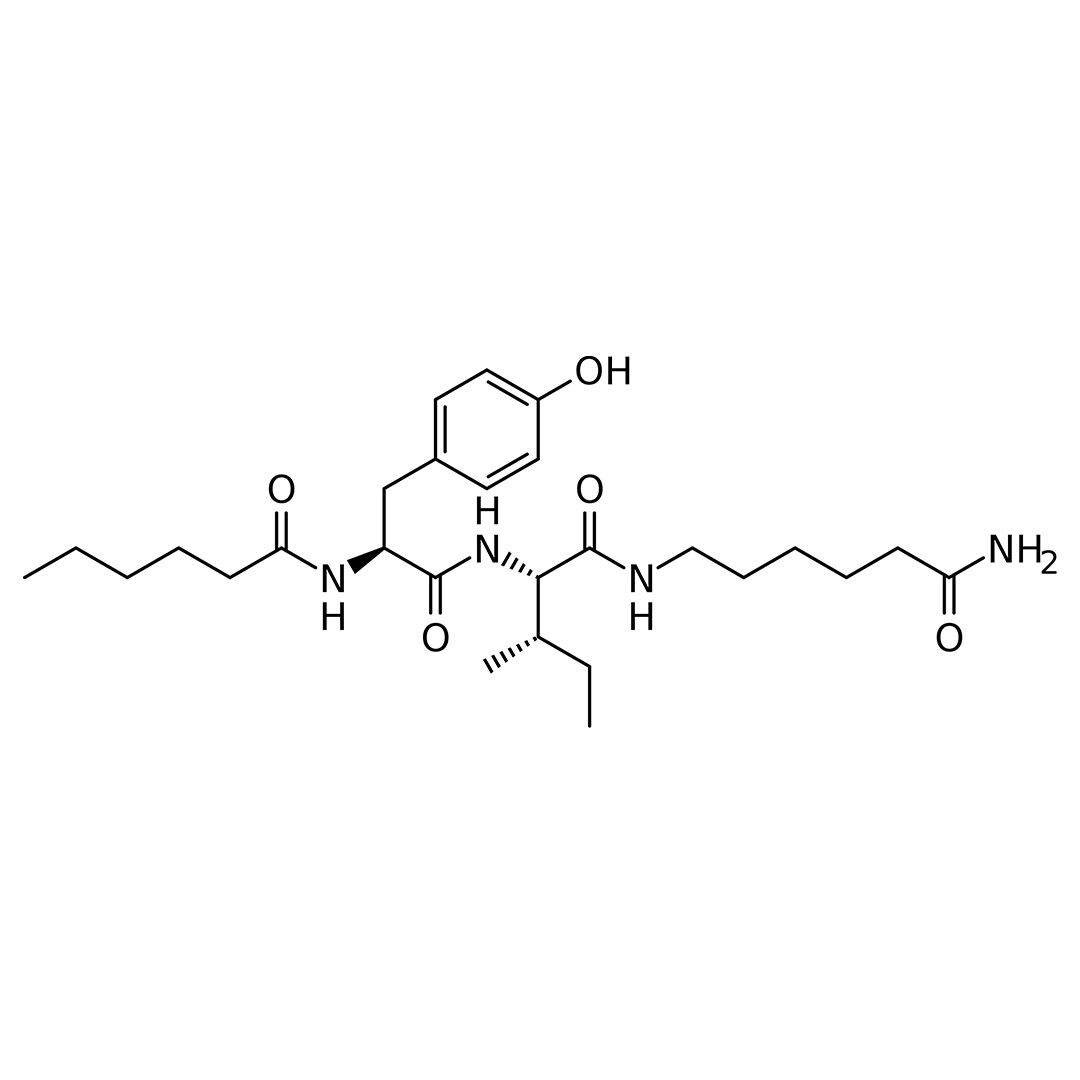 dihexa 5 mg Capsules Dihexa Research Tablet | 25mg